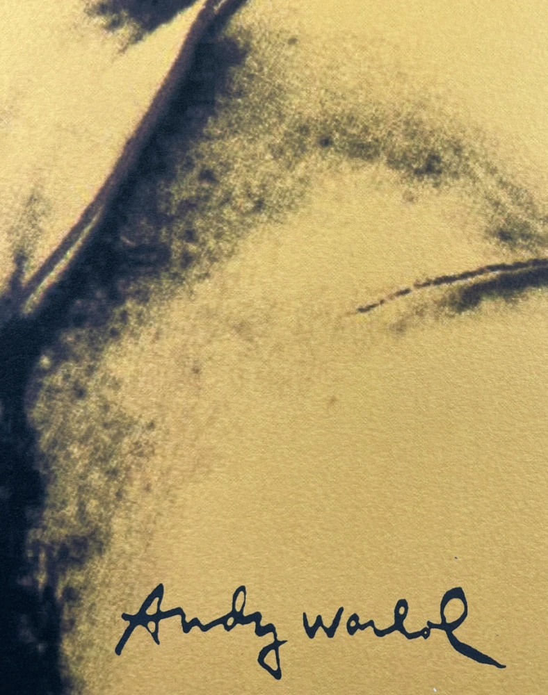 Obraz | Andy Warhol | Querelle | žlutá