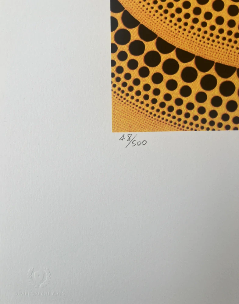 Obraz | Yayoi Kusama | № 1