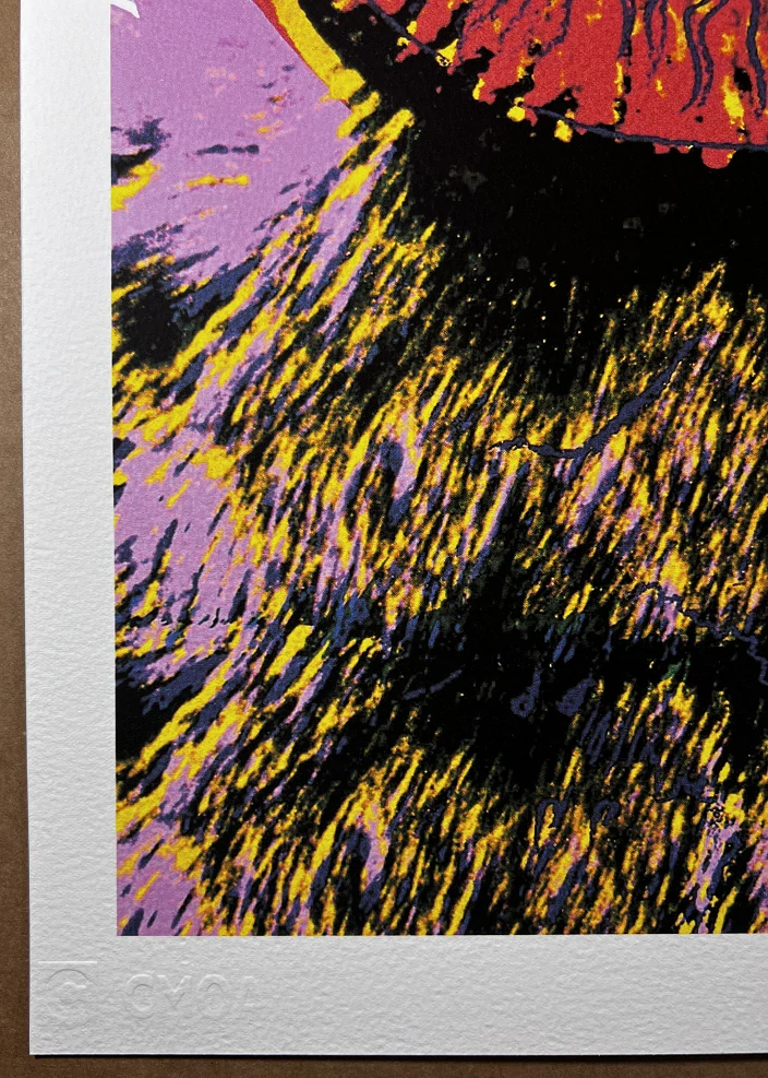 Obraz | Andy Warhol | Beran tlustorohý | modrá