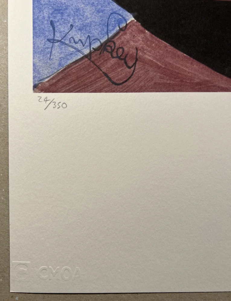 Obraz | František Kupka | Abstrakce