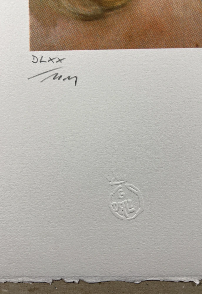 Obraz | Salvador Dalí | ?