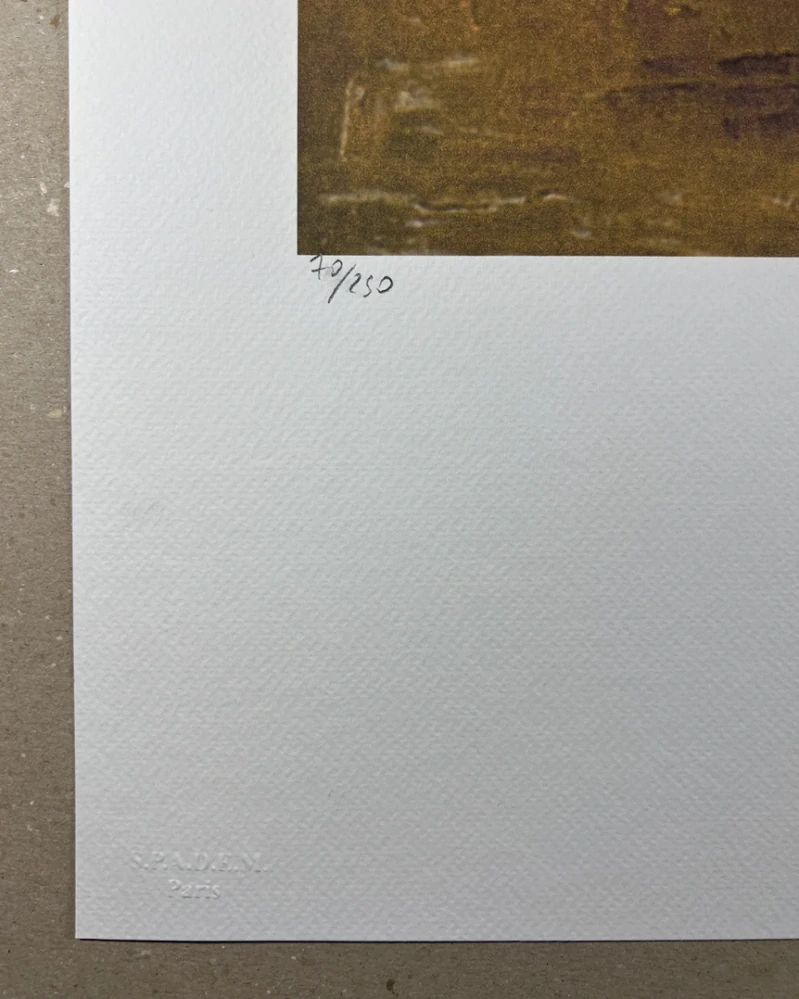 Obraz | Vincent van Gogh | Kytice