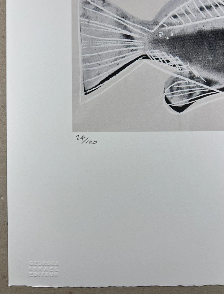 Obraz | Andy Warhol | Fish