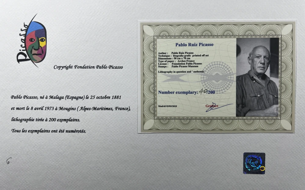 Obraz | Pablo Picasso | Žena