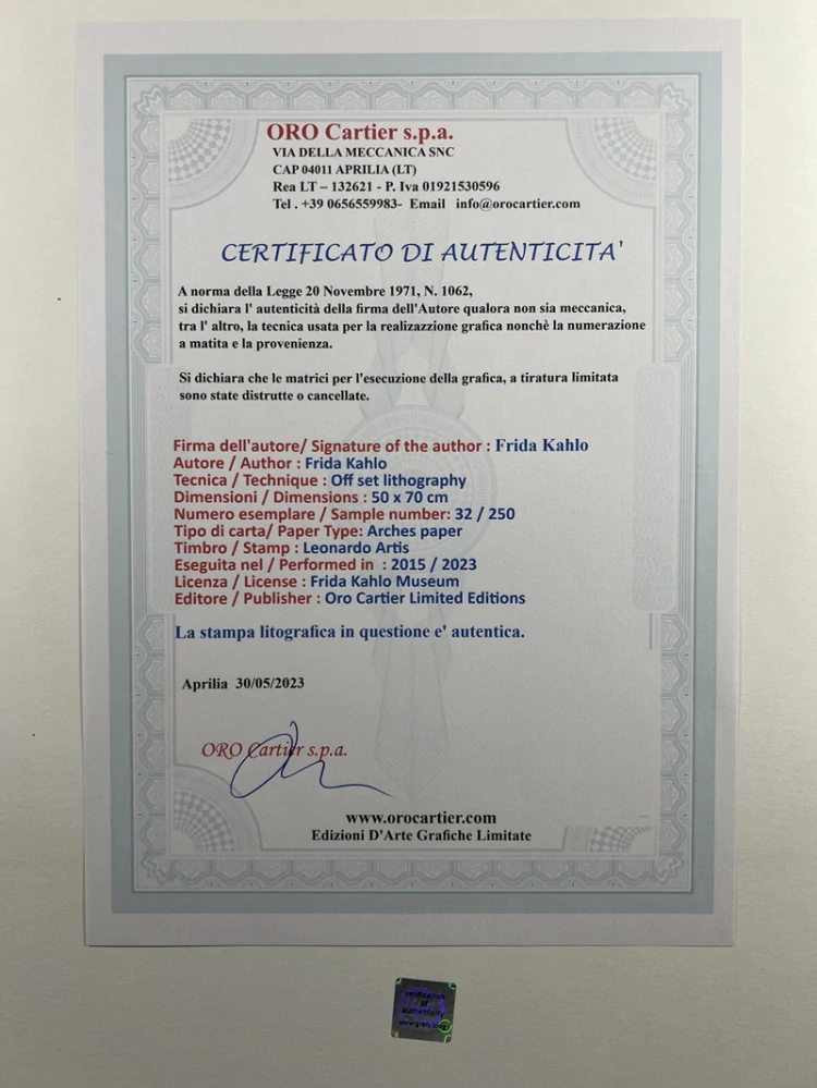 Obraz | Frida Kahlo | Marxismus dá zdraví nemocným