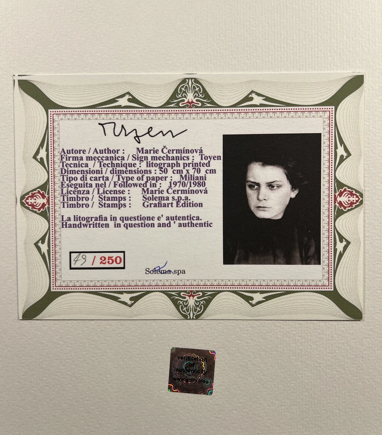 Obraz | Toyen | Poselství lesa