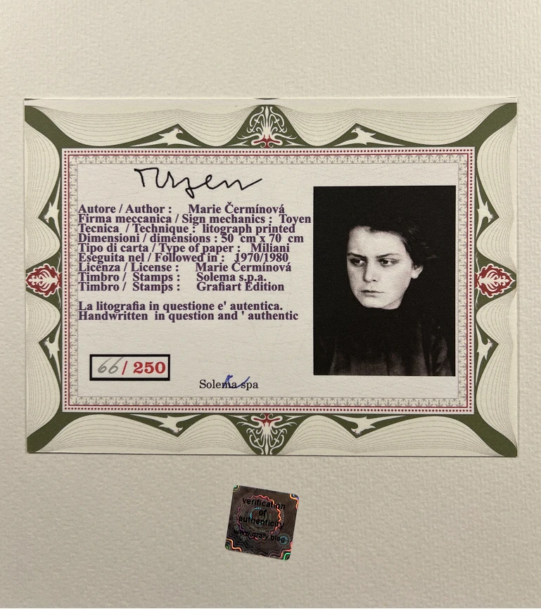 Obraz | Toyen | Portrét André Bretona