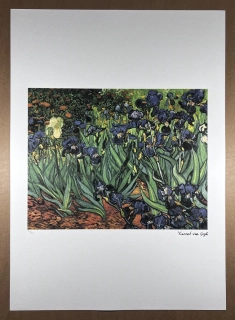 Obraz | Vincent van Gogh | Irisy