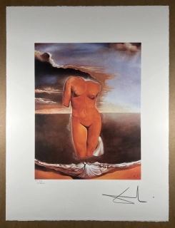 Obraz | Salvador Dalí | Torzo