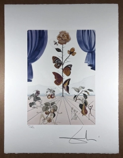 Obraz | Salvador Dalí | Motýlí růže