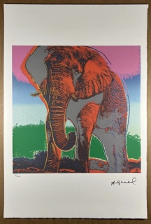 Obraz | Andy Warhol | Slon africký | fialová