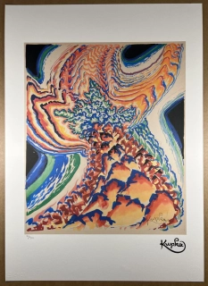 Obraz | František Kupka | E'tude pour Conte de Pistils et d'étamines