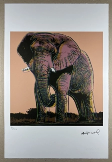 Obraz | Andy Warhol | Slon africký | hnědá