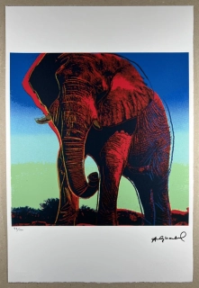 Obraz | Andy Warhol | Slon africký | modrá