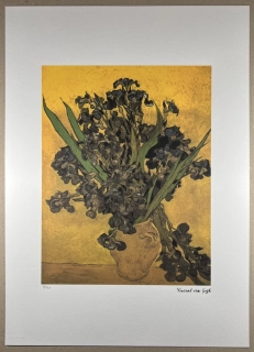 Obraz | Vincent van Gogh | Kosatce