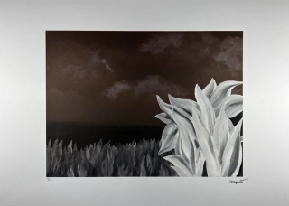 Obraz | René Magritte | Zahrada