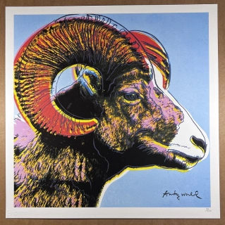 Obraz | Andy Warhol | Beran tlustorohý | modrá