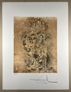 Obraz | Salvador Dalí | Hlava